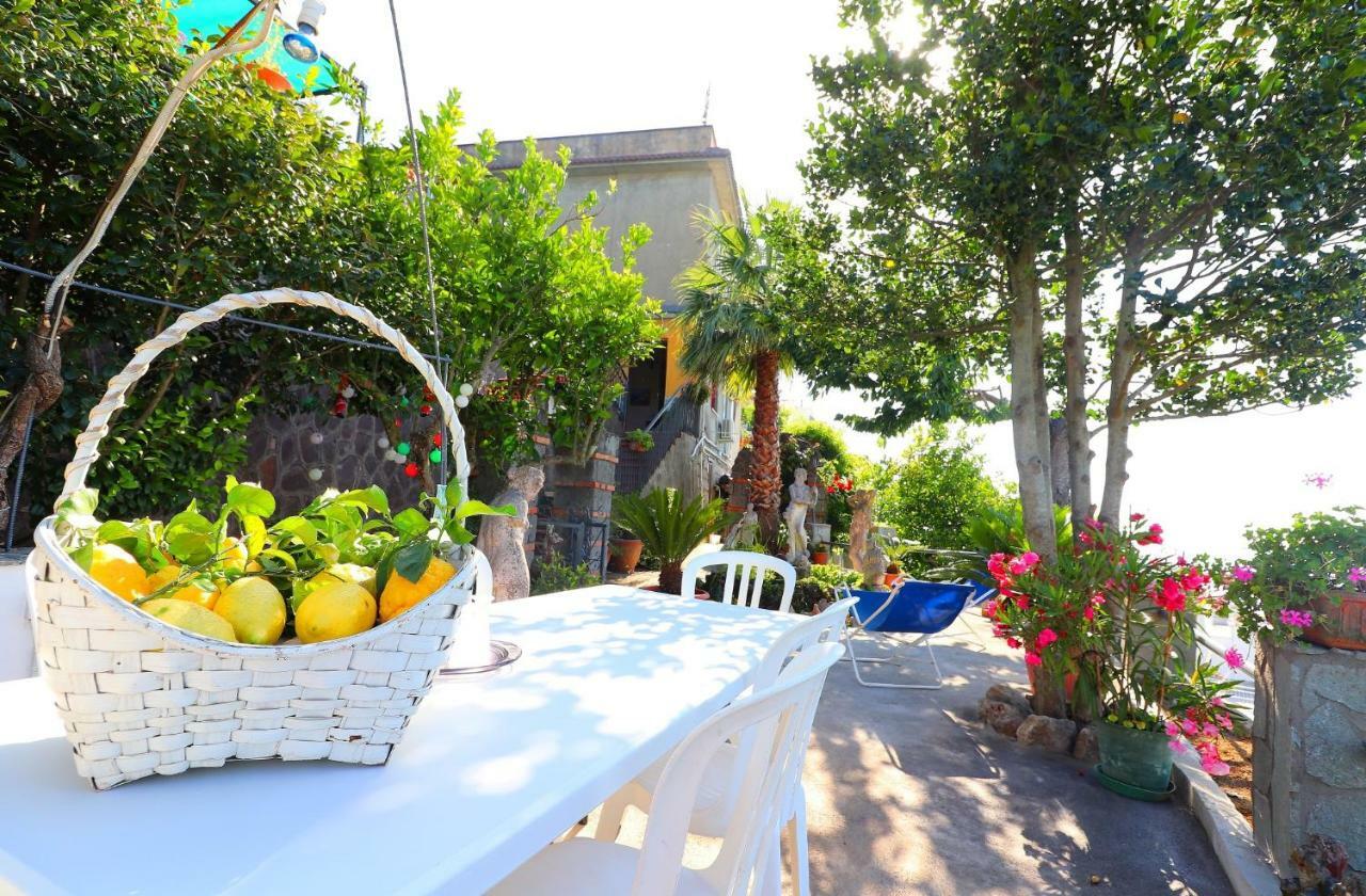 Ferienwohnung La Rosa Del Sud - De Vivo Realty Sorrent Exterior foto